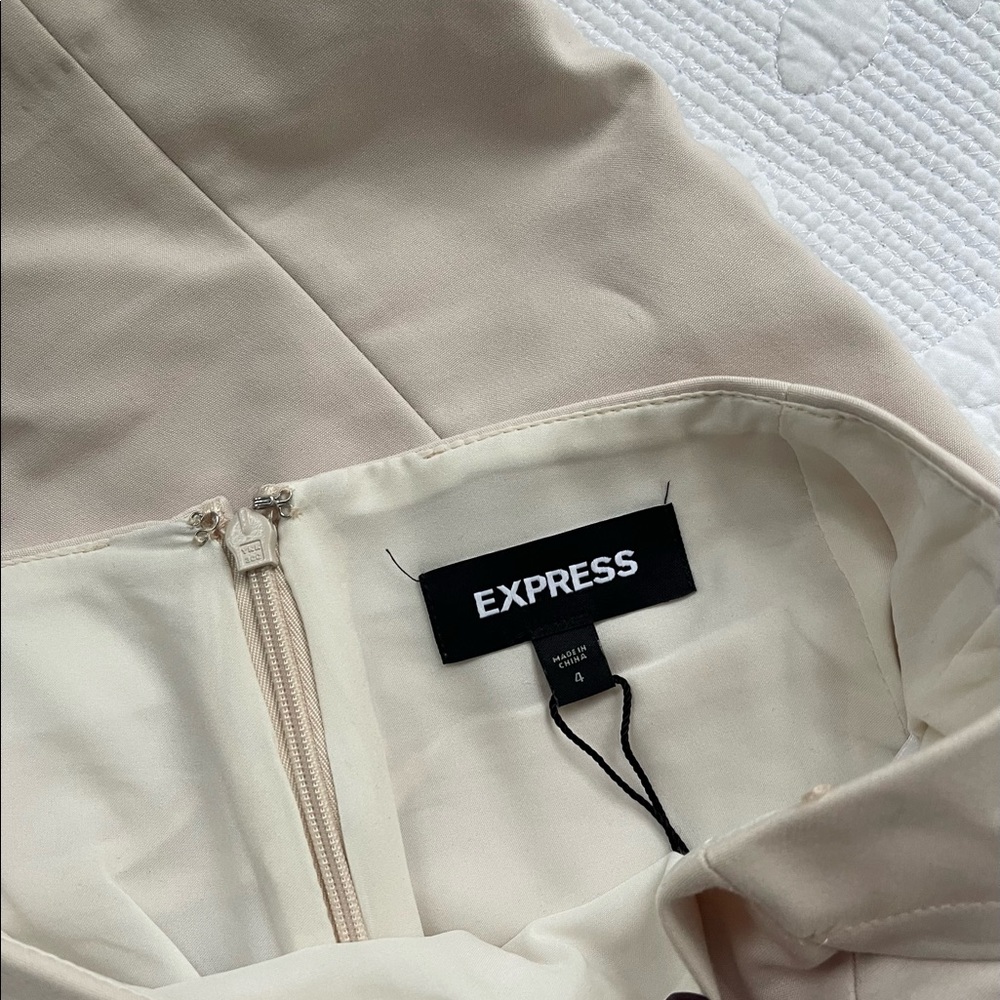 Express Pencil Skirt